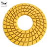 Little Ant 250 mm de 10 pulgadas Polro de resina Spiral para herramienta eléctrica Ganite Marble Terazzo Quartz